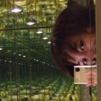 Shoto I. 🚀(@Shoto_I) 's Twitter Profile Photo
