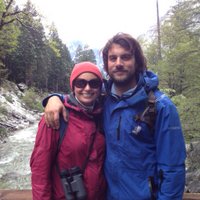 Adrian Gleiss (@adriangleiss) 's Twitter Profile