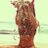 melanierivero3's profile image