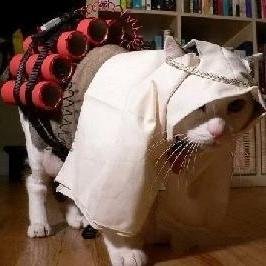 hamashole's profile picture. Ex cartoon character and newscaster magically turned into a real jerk.  You're here by accident, now you be judgin' me and shit.  Go ahead, follow me.