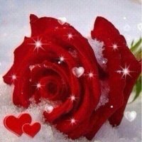 رتوجه (@aa1hmamy907030) 's Twitter Profile