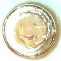MEM (@cheesybeer) 's Twitter Profile Photo MEM (@cheesybeer) 's Twitter Profile Photo