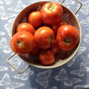 Jan Phipps - @PhippsJan - Twitter