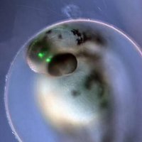 Eric Glasgow (@eg239) 's Twitter Profile