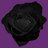 Blackrose_Gamer's profile image