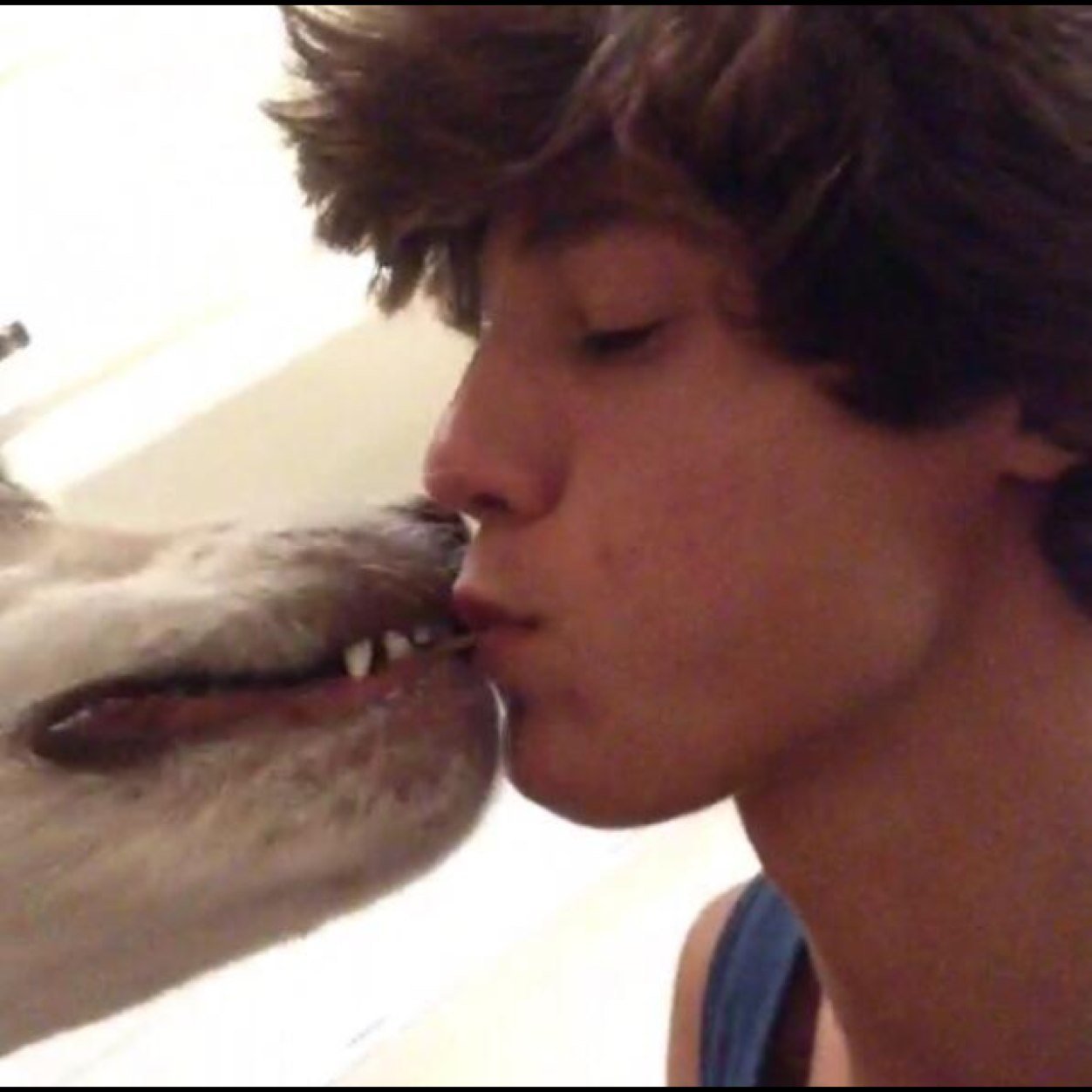 If ur not cameron dallas literally dont talk to me dont look at me dont breathe next to me dont even come with in 50 feet of me.... Justkidding but rly