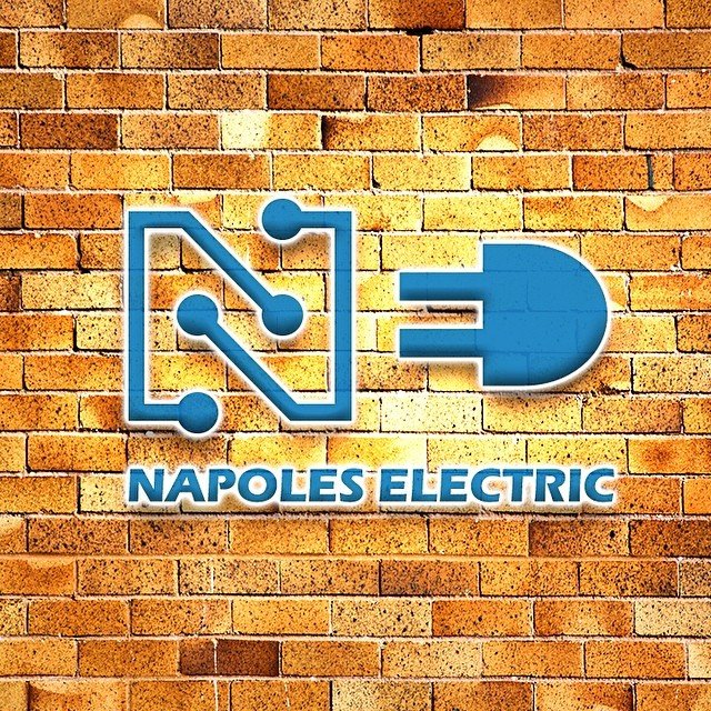 napoleselectric's profile picture. 