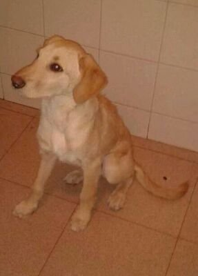 7Wendy7's profile picture. 