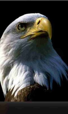 taglib5553's profile picture. 