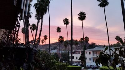 BdenThomas's profile picture. Creative Content Producer