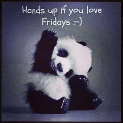 Gym_Panda22's profile picture. Always Workin. Here for the insight. GYMRAT. Fitness and working out. #Cardio #Eatclean #Weights