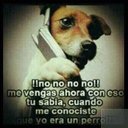 Leo Holguin - @holguin_leo - Twitter