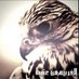 الغربيه من عتيبه (@gharbaih) Twitter profile photo