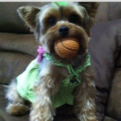 RomiRomiclaret's profile picture. 