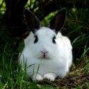 Yolanda Reyna Trejo - @CoralYolanda2 - Twitter