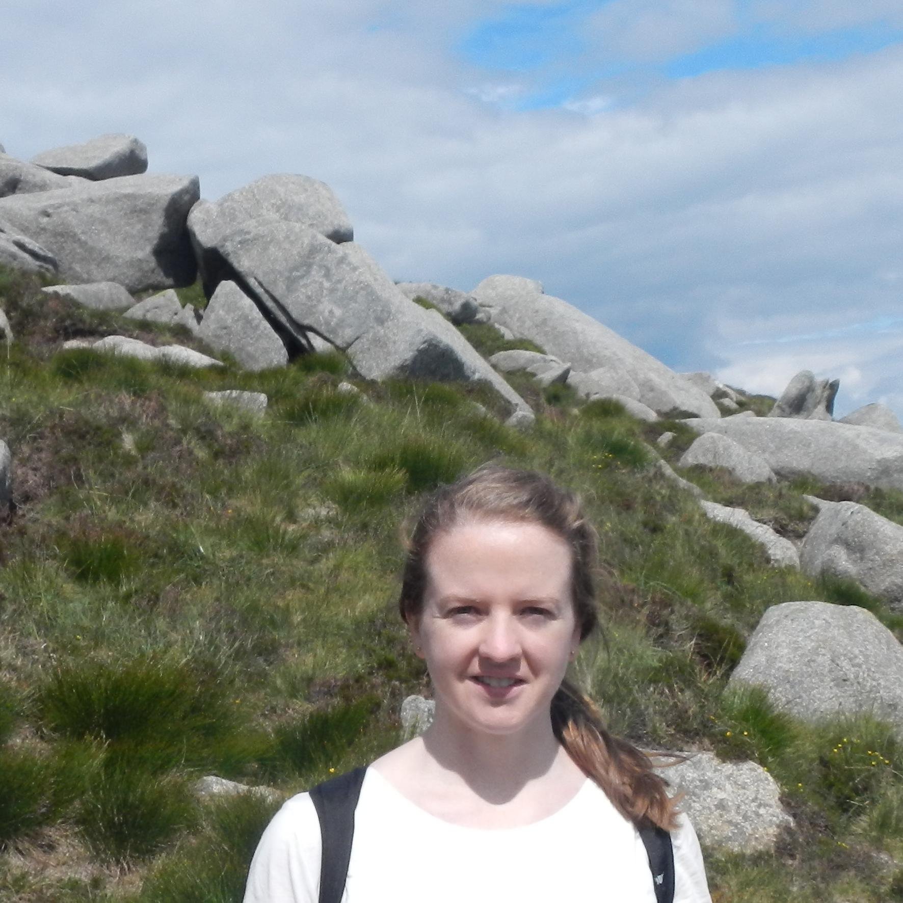 GIS Programmer  - working in LIDAR. previously bioinformatics and physics.