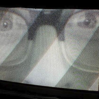 David Scott Kessler Profile