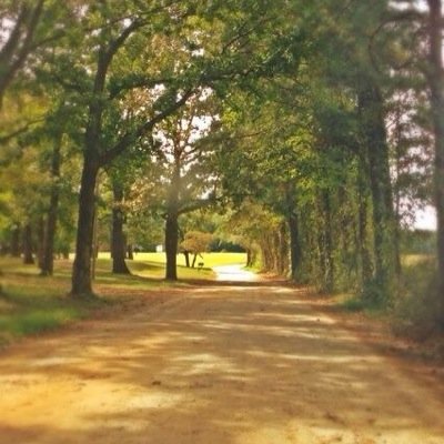 We celebrate The South and all that comes with it. All pictures are original.      Based in #Georgia.