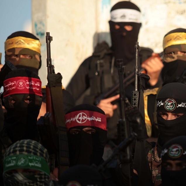 7azemawd's profile picture. رئيس تحرير