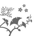 James Pickering - @Lucida_Melb - Twitter