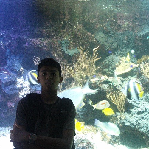 cakshant's profile picture. Student