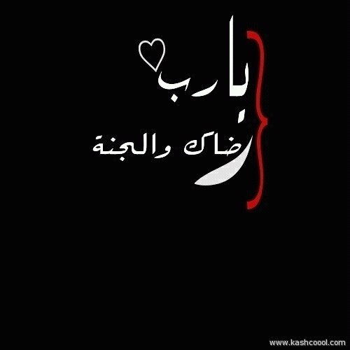 www55188849's profile picture. 