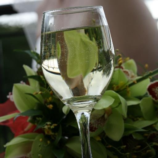 LorelaiMacleod's profile picture. Writer of Sci-fi & Fantasy and reader of all genres. Passionate about wildlife and the natural world. Loves tea, travel, art and science.