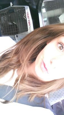 little_schaefer's profile picture. 