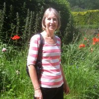 Jo Litson (@jolitson) 's Twitter Profile Photo