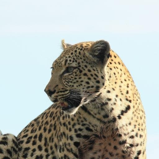 smelly_elli's profile picture. 