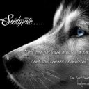 Melissa Stultz - @mstultz2011 - Twitter