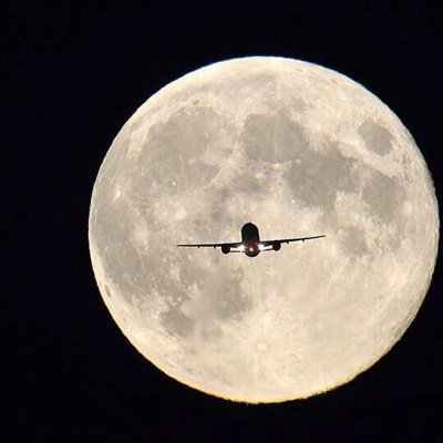 yah999y123's profile picture. ماحب الي يرتوتون واجد.