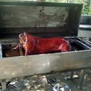 James Leclerc - @jleclerc95 - Twitter