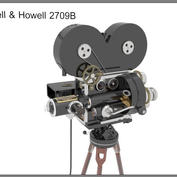 Film, animation, novels, screenplays, travel, muscle gene expression & museums.