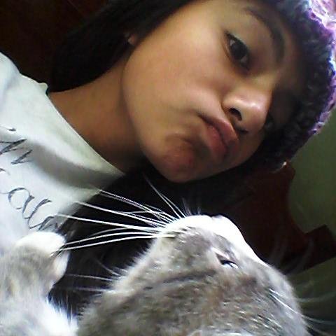 emm..... :) como empiezo me Gusta  One direction,  ademas son mi vida, hola soy una directioner y me gustan los gatitos^:) ❤❤