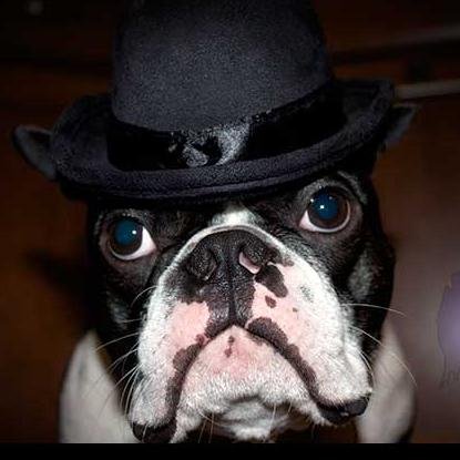 GloveCity's profile picture. Glove City offers high quality, limited run clothing for those who who want to represent the great state of Michigan.