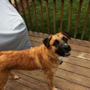 Marvin Stiles - @MarvinStiles - Twitter