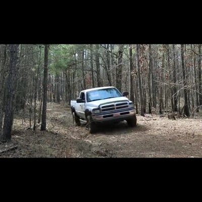 PartyCountryGal's profile picture. 