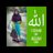 RismanaMulia's profile image