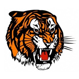 Medicine hat tigers of the whl