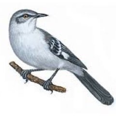 AdamNSteve's profile picture. 