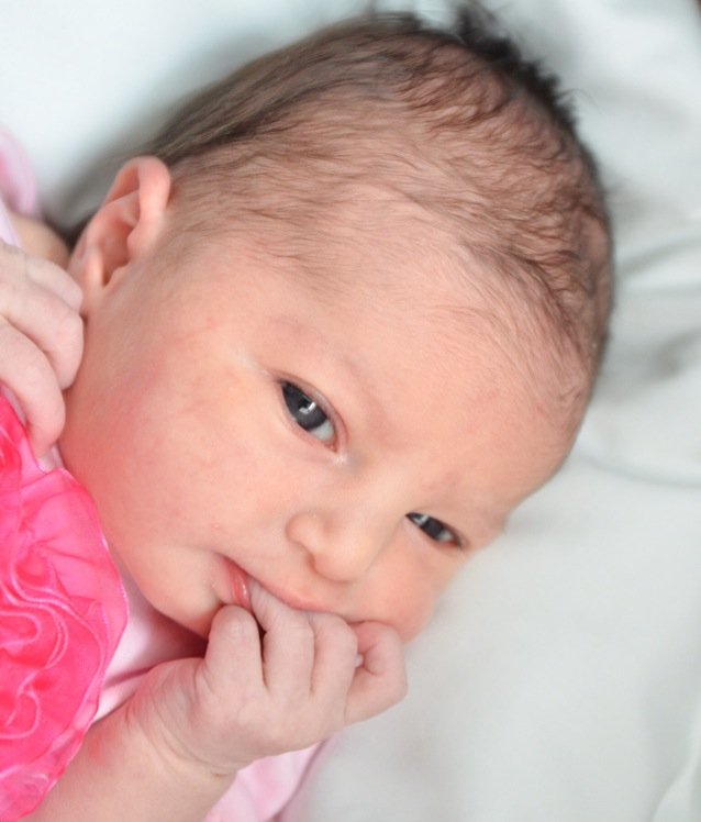 MoxieSofia's profile picture. 