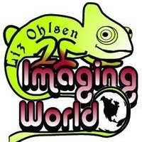 Imaging World is a locally owned business in River Falls Wisconsin. We create promotional products including screen printing embroidery and much more!