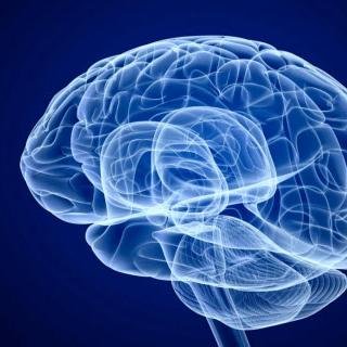 Brain Mind & Memory Institute is a private foundation established to promote EEG Brain Diagnostic and Neurotherapy
