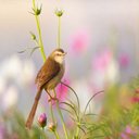 الحياه كلمه (@0544544478) Twitter