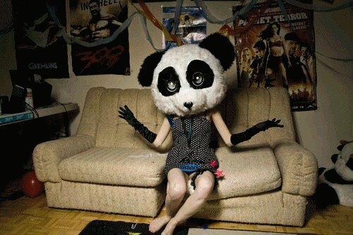 LasBoludiadas's profile picture. LA JODA ES MI RELIGIÓN  ✞ AMANTE DE LA COMIDA Y LA MÚSICA.