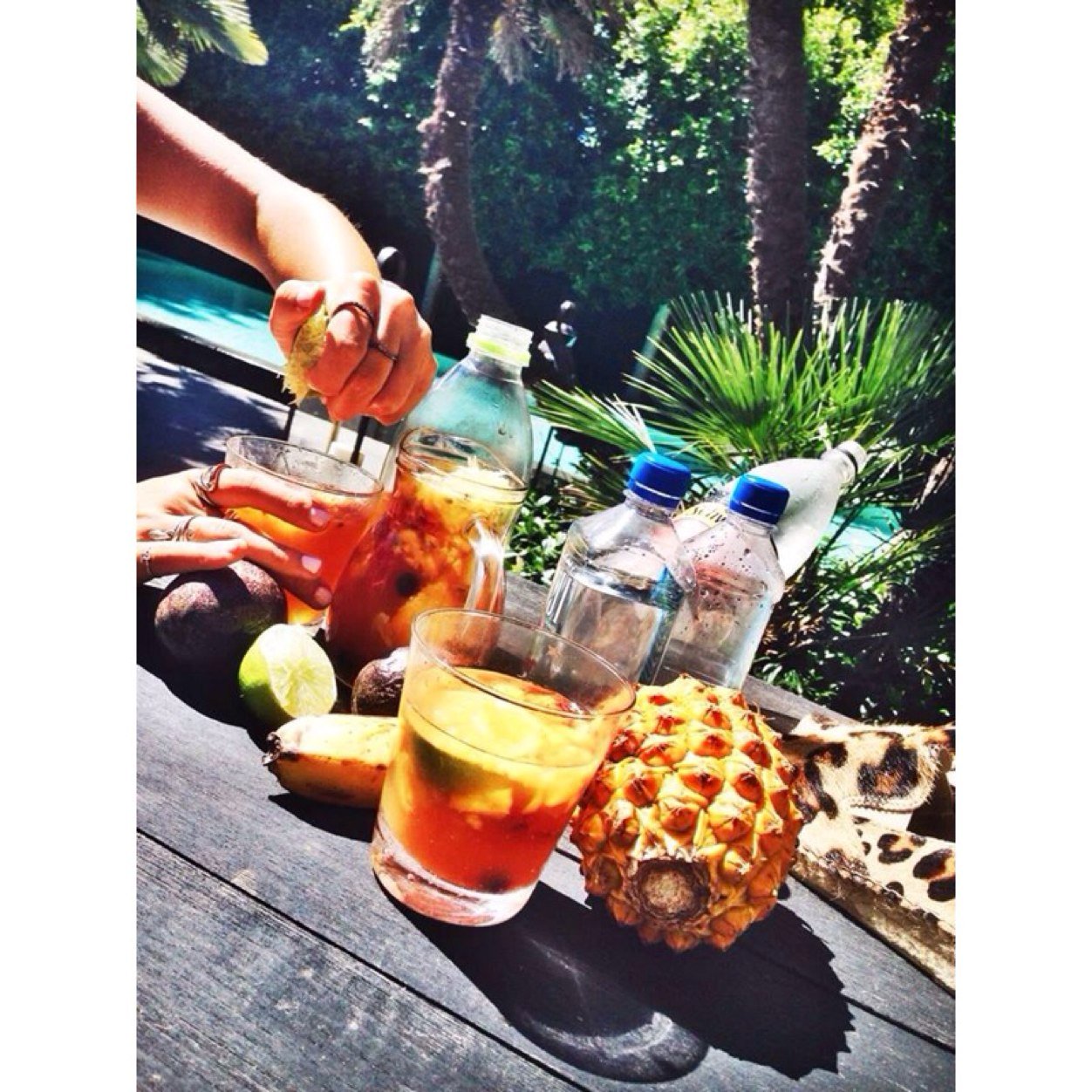 _trillzzz's profile picture. 