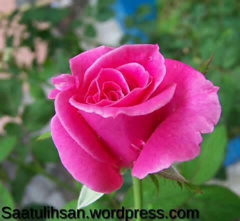 CCepaka's profile picture. kt knalan di bbm aja ,7db564ef