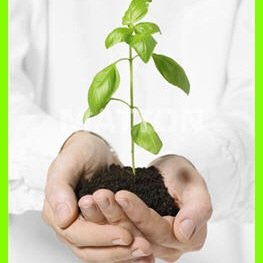أذكار وايات قرآنية وأوقاف خيرية  - أجره لأموات المسلمين - اللهم وفقنا للخير 🍃