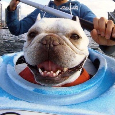 NVoshedskiy's profile picture. My Official Twitter Feed